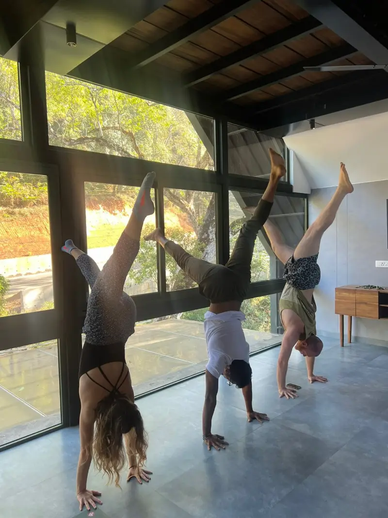 Three students practising handstands beside tall windows looking out onto trees